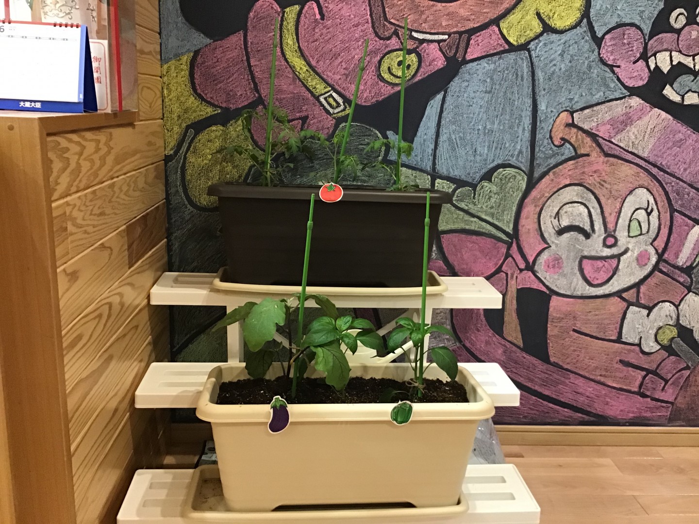 苗を植え付けて7日目